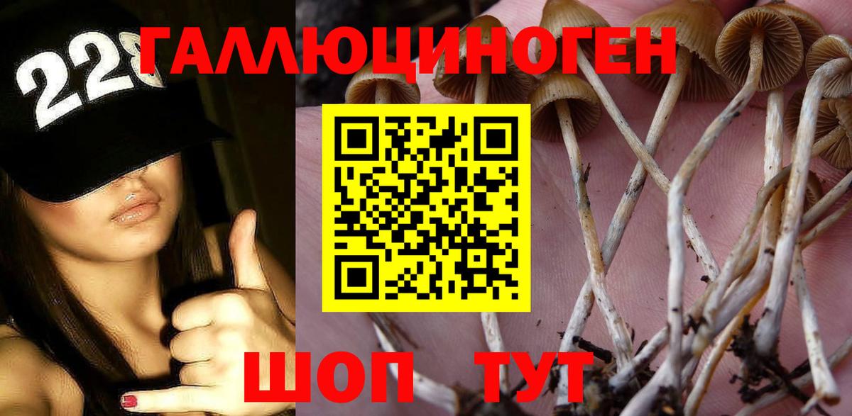 Белебей  Галлюциногенные грибы мухоморы  Вход с VPN 
